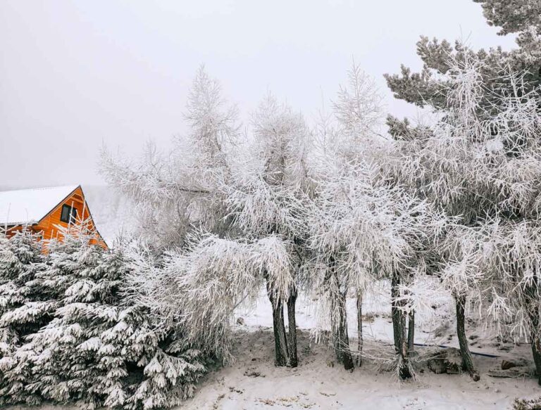 Tout savoir sur le plan grand froid 2026