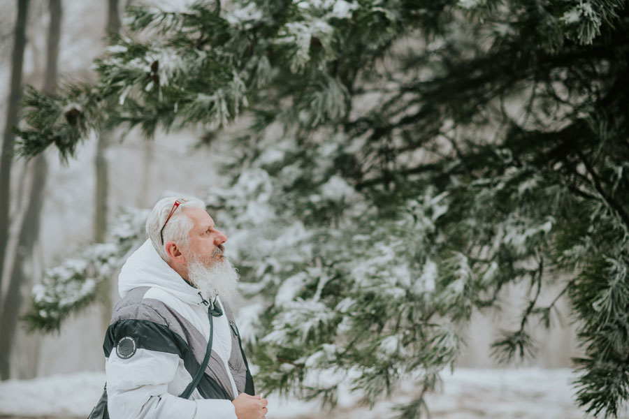 Senior à barbe blanche chaudement habillé, observant des branches de sapin enneigées